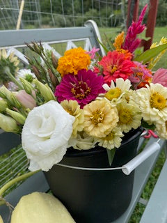 DIY Wedding/ Event Bloom Bucket- Focals, fillers, greenery: Available for August through 1st week of October