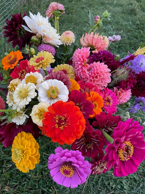 DIY Wedding/ Event Bloom Bucket- Focals, fillers, greenery: Available for August through 1st week of October