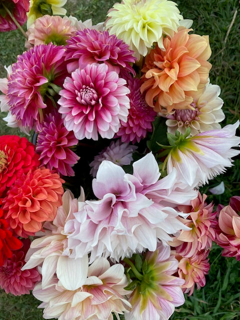 DIY Wedding/ Event Bloom Bucket- Focals, fillers, greenery: Available for August through 1st week of October