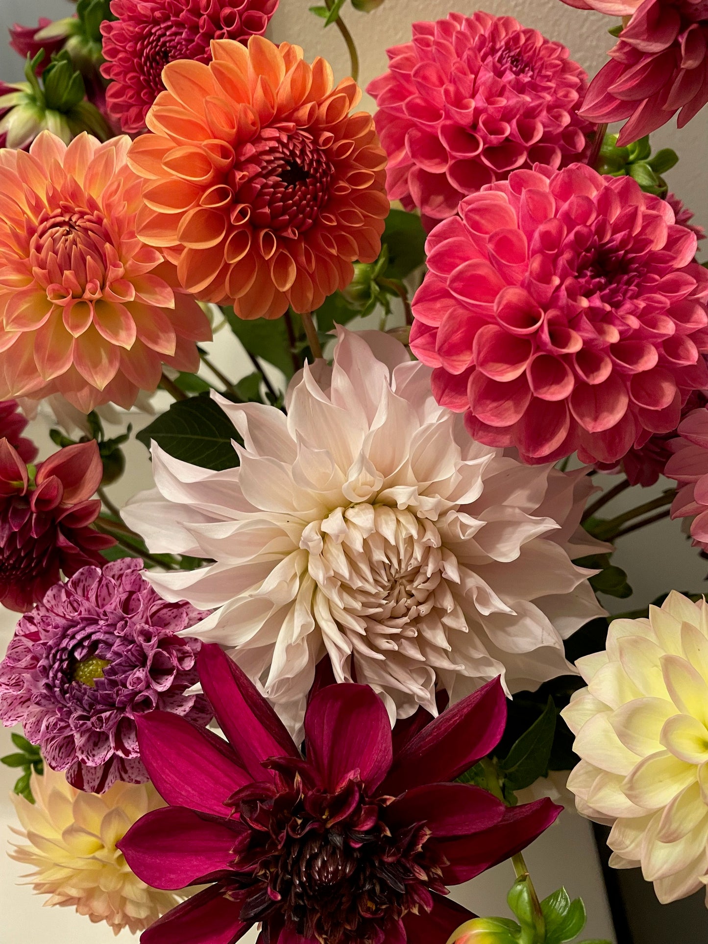 4 Week Dahlia Bouquet Subscription- September